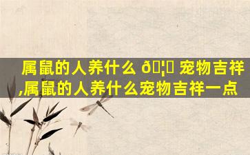 属鼠的人养什么 🦟 宠物吉祥,属鼠的人养什么宠物吉祥一点